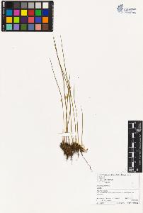 SW_BNB_s3070-03036_IMG-0000000001
