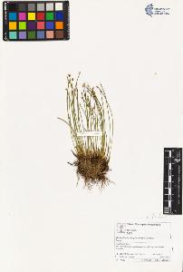 SW_BNB_s3070-03037_IMG-0000000001