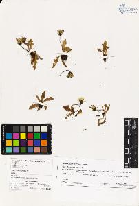 SW_BNB_s3070-03039_IMG-0000000001