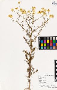 SW_BNB_s3070-03040_IMG-0000000001