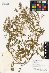 SW_BNB_s3070-03041_IMG-0000000001