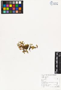 SW_BNB_s3070-03042_IMG-0000000001