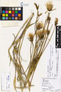 SW_BNB_s3070-03043_IMG-0000000001
