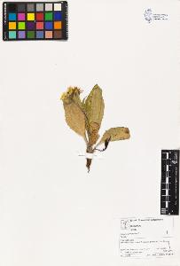 SW_BNB_s3070-03047_IMG-0000000001