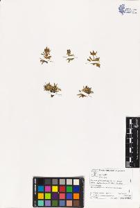 SW_BNB_s3070-03051_IMG-0000000001