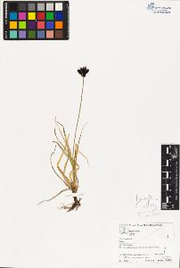 SW_BNB_s3070-03052_IMG-0000000001