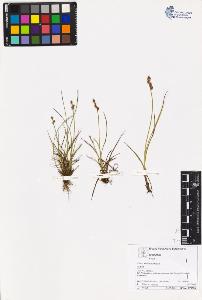 SW_BNB_s3070-03053_IMG-0000000001