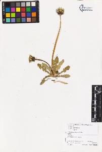 SW_BNB_s3070-03054_IMG-0000000001
