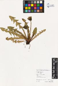 SW_BNB_s3070-03058_IMG-0000000001