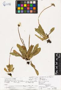 SW_BNB_s3070-03060_IMG-0000000001