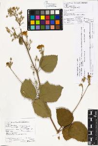 SW_BNB_s3070-03063_IMG-0000000001