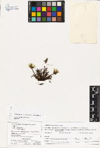 SW_BNB_s3070-03064_IMG-0000000001