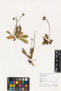 SW_BNB_s3070-03066_IMG-0000000001