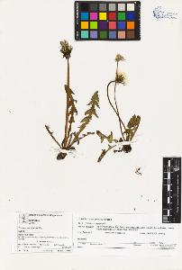 SW_BNB_s3070-03067_IMG-0000000001