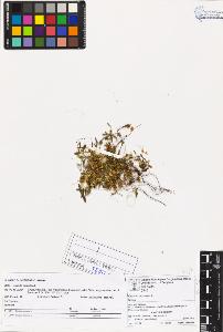 SW_BNB_s3070-03068_IMG-0000000001