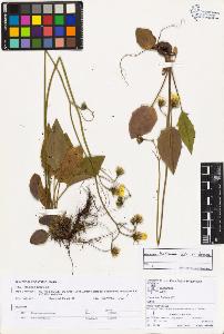 SW_BNB_s3070-03073_IMG-0000000001