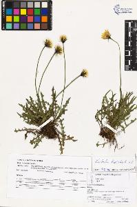 SW_BNB_s3070-03074_IMG-0000000001
