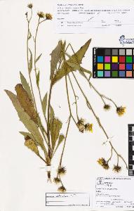 SW_BNB_s3070-03081_IMG-0000000001