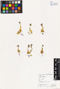 SW_BNB_s3070-03083_IMG-0000000001
