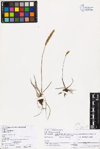 SW_BNB_s3070-03085_IMG-0000000001