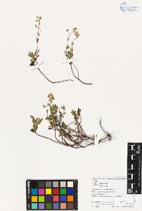 SW_BNB_s3070-03087_IMG-0000000001