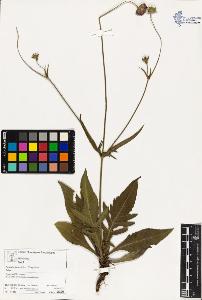 SW_BNB_s3070-03091_IMG-0000000001
