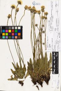SW_BNB_s3070-03092_IMG-0000000001