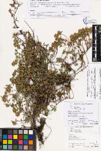 SW_BNB_s3070-03093_IMG-0000000001