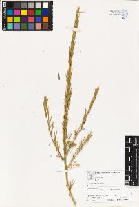 SW_BNB_s3070-03094_IMG-0000000001