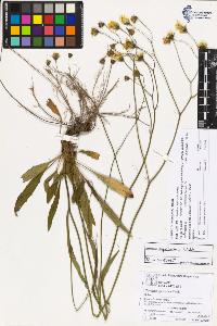 SW_BNB_s3070-03096_IMG-0000000001