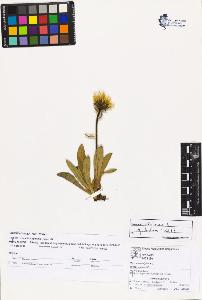 SW_BNB_s3070-03097_IMG-0000000001