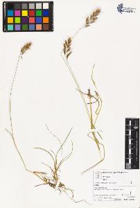 SW_BNB_s3070-03101_IMG-0000000001