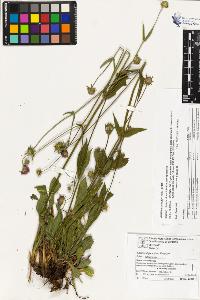 SW_BNB_s3070-03105_IMG-0000000001