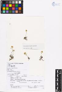 SW_BNB_s3070-03107_IMG-0000000001