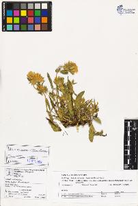 SW_BNB_s3070-03108_IMG-0000000001
