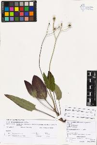 SW_BNB_s3070-03112_IMG-0000000001