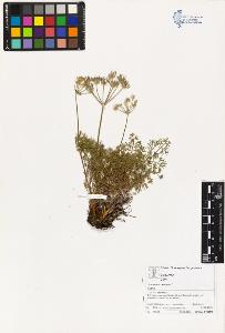 SW_BNB_s3070-03113_IMG-0000000001