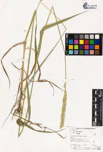 SW_BNB_s3070-03115_IMG-0000000001