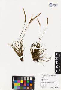 SW_BNB_s3070-03118_IMG-0000000001
