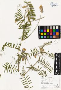 SW_BNB_s3070-03119_IMG-0000000001