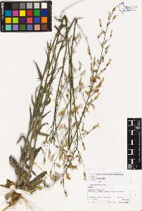 SW_BNB_s3070-03121_IMG-0000000001
