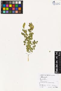 SW_BNB_s3070-03126_IMG-0000000001