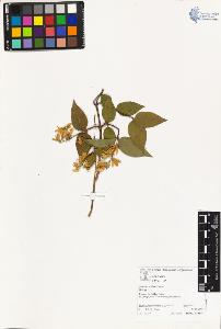 SW_BNB_s3070-03128_IMG-0000000001