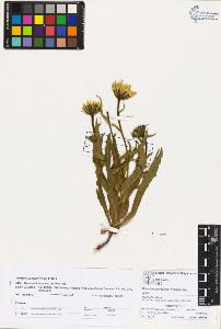 SW_BNB_s3070-03129_IMG-0000000001