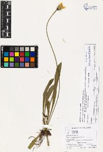 SW_BNB_s3070-03133_IMG-0000000001