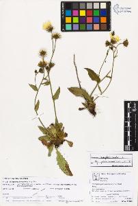 SW_BNB_s3070-03139_IMG-0000000001