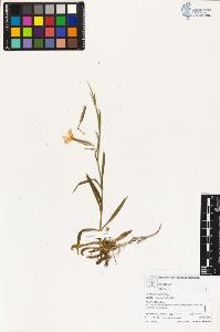 SW_BNB_s3070-03141_IMG-0000000001