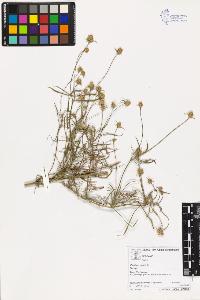 SW_BNB_s3070-03142_IMG-0000000001