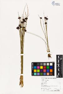 SW_BNB_s3070-03144_IMG-0000000001