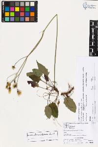SW_BNB_s3070-03150_IMG-0000000001